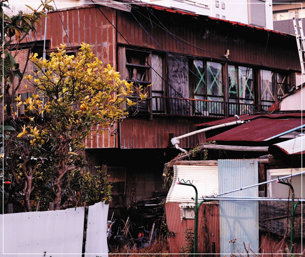 【画像】桐島聡の住居は藤沢市内？家はボロアパート家賃はいくら？